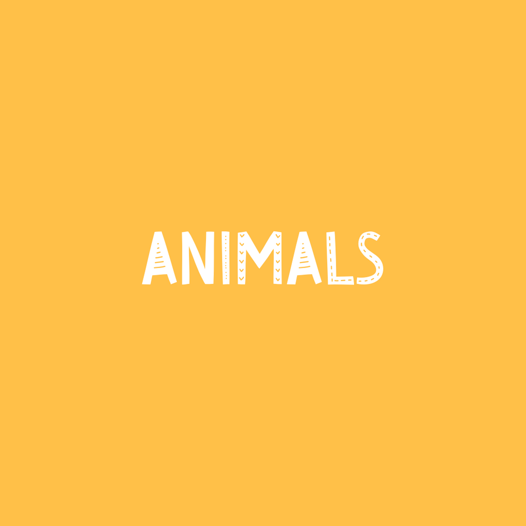 Animals & Birds Theme